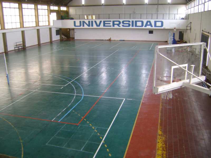Basquet y Voley en El Palomar