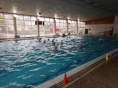 Natación en el Palomar